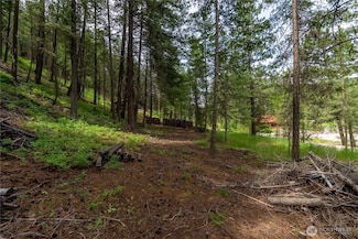 7 Howerton Rd, Twisp, WA 98856