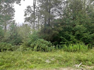 Lots 60 and 61 Venice Place, Davis, WV 26260