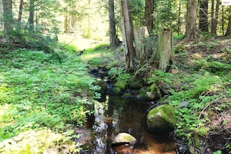 2110 Mushroom Kingdom Trail, Sandpoint, ID 83864