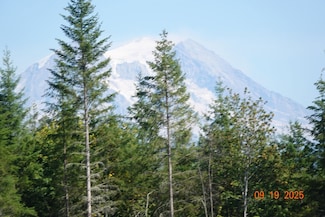 10119 Eatonville Hwy E, Eatonville, WA 98328