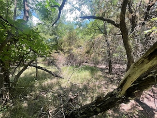 1497 Sage Ct, Whitney, TX 76692