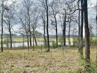 178 Stagecoach Cir, Huntsville, TX 77340