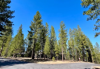 53514 Wildriver Way, La Pine, OR 97739