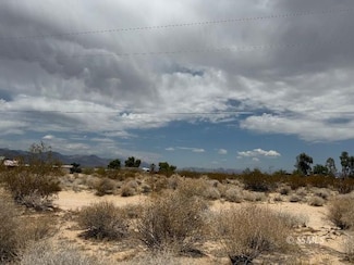 0 Plains Blackbird Unit 2607153, Inyokern, CA 93527
