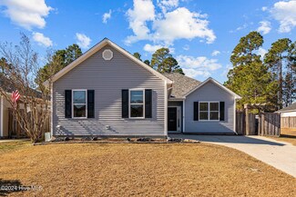 291 Coral Stone Ct SE, Leland, NC 28451