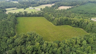 TBD Fries Bay Rd Unit 35.77 Acres, Loris, SC 29569