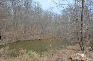 Tract 514 Bobcat Rd, Buffalo Township, MO 65078