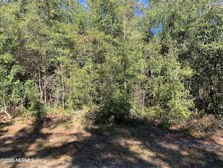 222 1st Way, Interlachen, FL 32148
