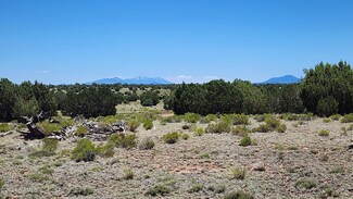 10624 Espee Rd, Williams, AZ 86046