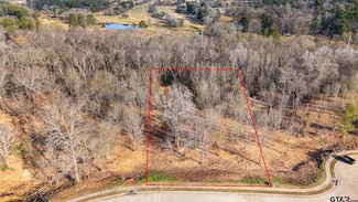 4225 Savannah Hills Ln, Longview, TX 75605