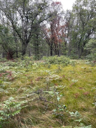 00-VL Whitefish Rd, Newaygo, MI 49337