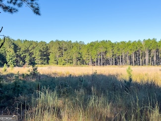 0 Penn St, Waynesboro, GA 30830