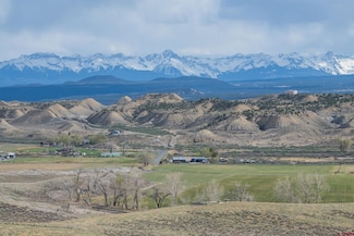 TBD Sunshine Rd, Montrose, CO 81401