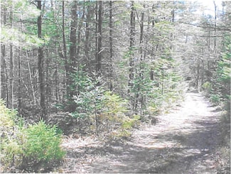 1328 Deer Haven Rd, Wesley, ME 04686