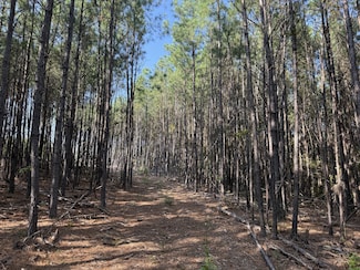 3415 Waynesboro Hwy, Hohenwald, TN 38462