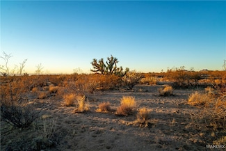 2358 S Cattle Crossing Rd, Yucca, AZ 86438