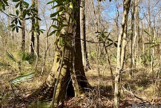 7913 Lower Zachary Rd, Zachary, LA 70791
