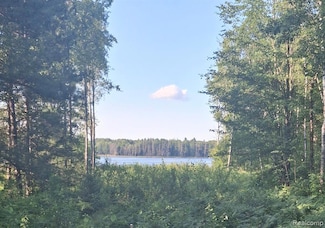 Lot 98 Breezewood Dr, Mancelona Township, MI 49659