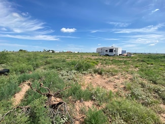 0 New Mexico 203, Fort Sumner, NM 88119