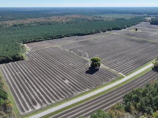 154 Horace Vick Rd, Kelford, NC 27847