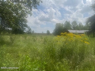 5551 Defries Rd, Canmer, KY 42722