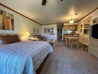 150 W Ridge View St #119, Brian Head, UT 84719