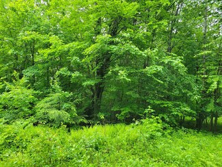 0 Butter Hill Rd Unit 4913710, Chatham, NH 03813