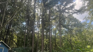 194 An County Road 334, Palestine, TX 75803