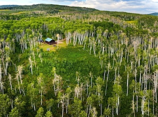 52545 Quaker Mountain Cir S, Hayden, CO 81639