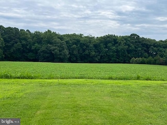0 Harrison Rd, Berlin, MD 21811