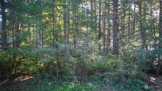 10217 Eckenstam Johnson Rd, Anderson Island, WA 98303