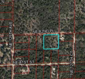 12790 NE 82nd Place, Bronson, FL 32621
