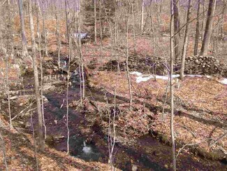 0 Colony Mine Unit 4683877, Alstead, NH 03602