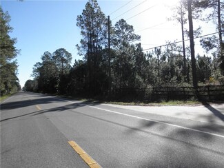 1925 Leah Star Rd, Astor, FL 32102