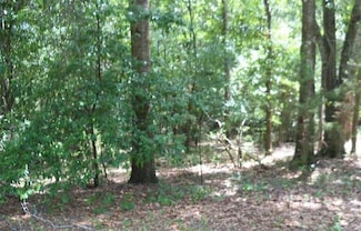 0 House Ave, Lumpkin, GA 31815
