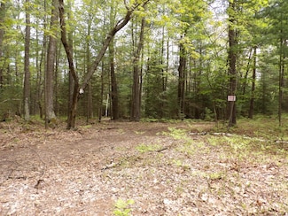Lot 9 Club Rd, St. Helen, MI 48656