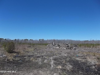 Lot# 5 Boat Ramp Rd, New Hope, NC 27944