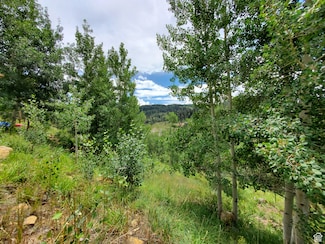 103 Brooks Canyon Rd Unit GB 103, Fairview, UT 84629