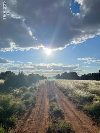 4372 Goldenrod Rd Unit 441, Williams, AZ 86046