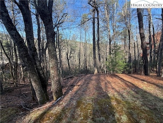 TBD W Laurel Cir, Deep Gap, NC 28618