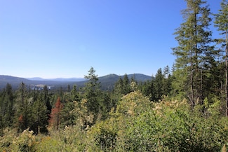 XXX Buck Creek Rd, Newport, WA 99156