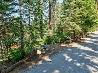 7419 Henness Ridge Rd, Yosemite West, CA 95389