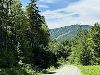 0 Forest Heights Rd, West Dover, VT 05356