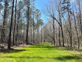 0 Highway 8, Calhoun City, MS 38916