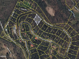 lot 63 Old Smoky High Top Rd, Cosby, TN 37722