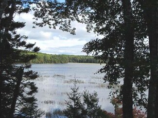 4580a Camp Two Rd, Plum Lake, WI 54560
