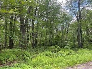 Lots 74, 75, 76, 77 Innsbruck, Jenner Township, PA 15547