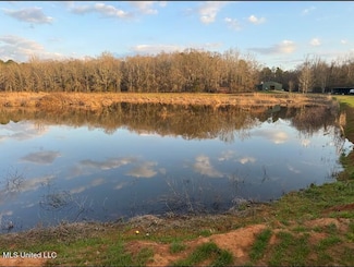 2759 County Road 2759, Sallis, MS 39160