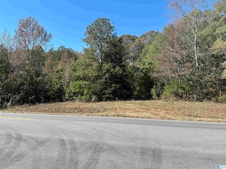 0 Highway 431 Unit 21436320, Roanoke, AL 36855