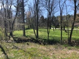 11971 Wintergreen Dr, Chardon, OH 44024